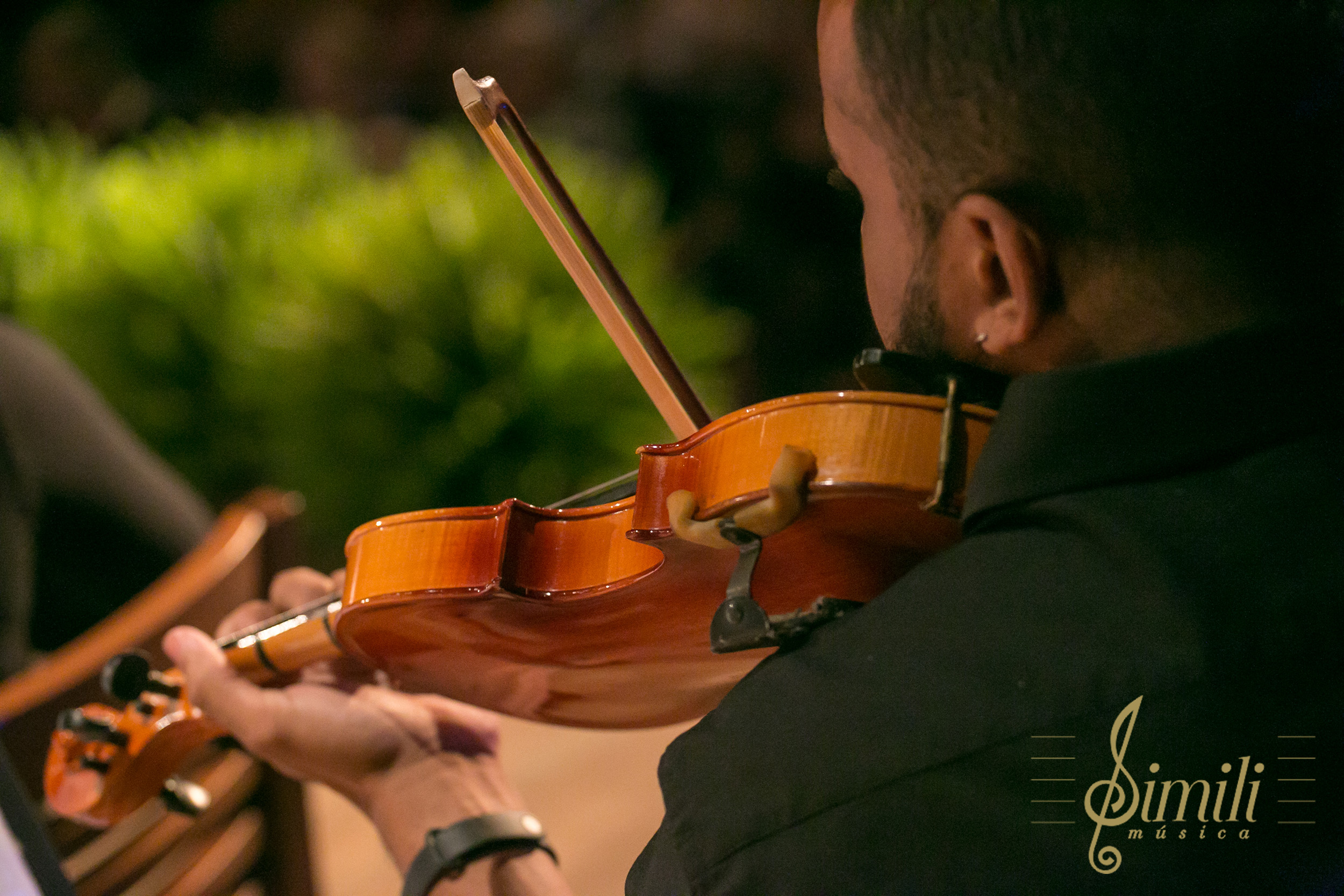 Foto-violino-3